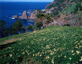 img : Terrains